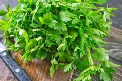 香菜榨汁有哪些不同的功效與作用