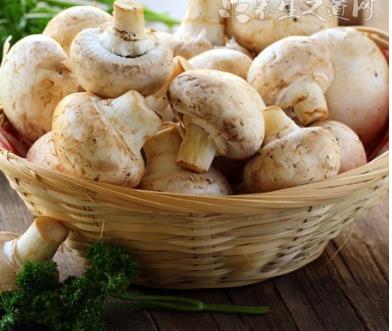 產(chǎn)后媽媽減水腫食物和食譜