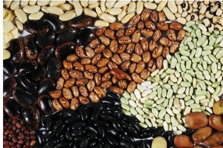 適合肺炎患者食療恢復(fù)清熱解毒的食物有哪些