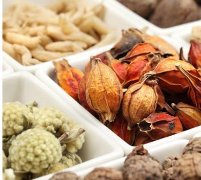 想要潛水需要準(zhǔn)備哪一些裝備東西