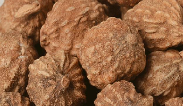 益智仁中藥對(duì)男性保健養(yǎng)生效果如何