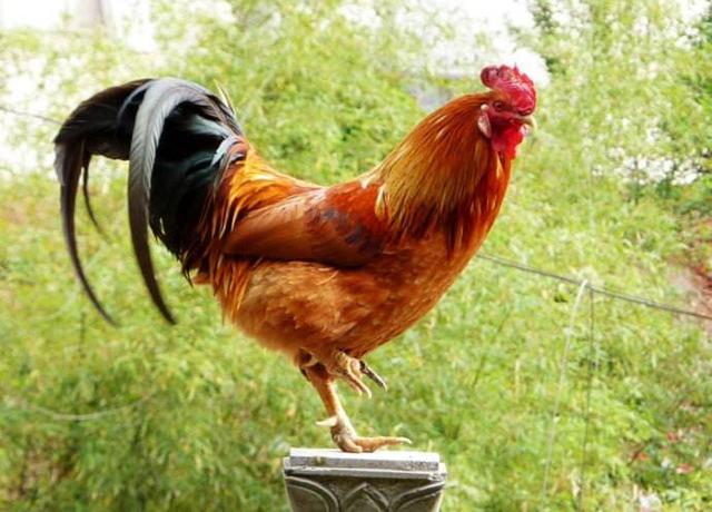 這好多個養生健康方式，堅持到底，毫無疑問會獲得出乎意料的實際效果