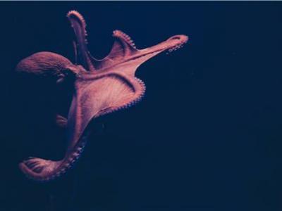 學中醫養身,這4個方法都是“根本所在”!簡單功能強大