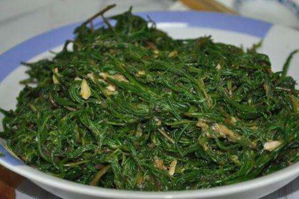 黃須菜的作用與禁忌 黃須菜什么樣的人不能吃