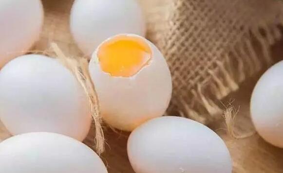鴿蛋的作用與功效 鴿蛋的營養成分