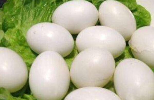 吃鴿蛋的益處和弊端