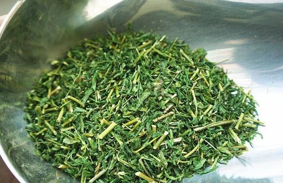 刺老芽的作用與功效 吃刺老芽的益處有什么