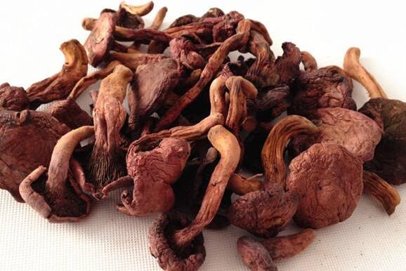 什么叫肉蘑 肉蘑的吃法