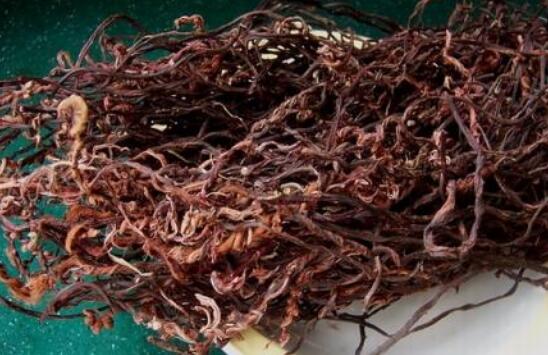 赤蕨干的作用與功效 吃赤蕨干的益處