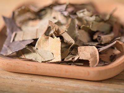 柿子葉的作用與功效