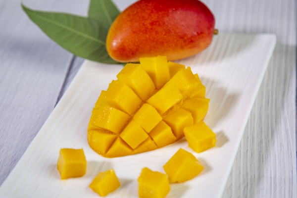 芒果和牛奶可以一起吃嗎 日常芒果甜品食譜-易網(wǎng)<a href=http://www.jsjjzhkt.cn/ target=_blank class=infotextkey>健康養(yǎng)生</a>網(wǎng) 芒果和牛奶可以一起吃嗎 日常芒果甜品食譜