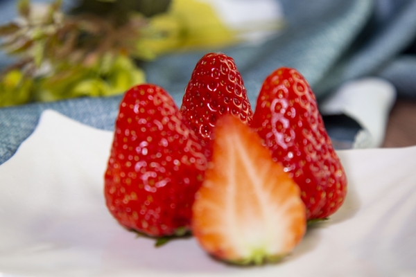 草莓放在室內一晚上會壞嗎 草莓適合和什么水果榨汁-易網健康<a href=http://www.jsjjzhkt.cn/jkys/ target=_blank class=infotextkey>養生</a>網 草莓放在室內一晚上會壞嗎 草莓適合和什么水果榨汁