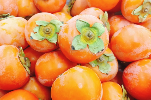 橘子和柿子可以一起吃嗎 什么不能和柿子一起吃