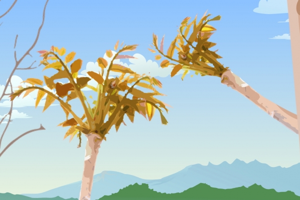 香椿芽必須要焯水才能吃嗎 香椿木泡水的功效-易網(wǎng)<a href=http://www.jsjjzhkt.cn/ target=_blank class=infotextkey>健康養(yǎng)生</a>網(wǎng) 香椿芽必須要焯水才能吃嗎 香椿木泡水的功效