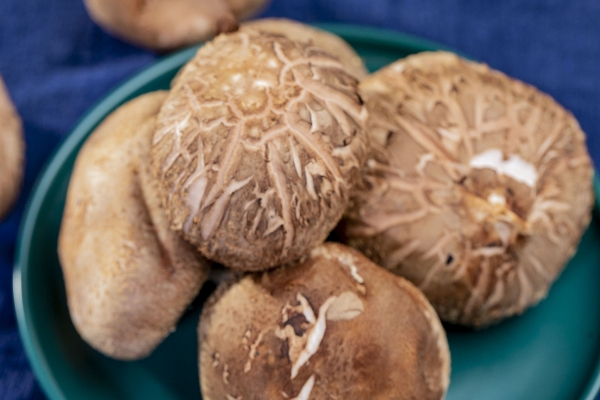 蝦不可以和什么一起吃 蝦怎么做簡單好吃-易網健康<a href=http://www.jsjjzhkt.cn/jkys/ target=_blank class=infotextkey>養生</a>網 蝦不可以和什么一起吃 蝦怎么做簡單好吃