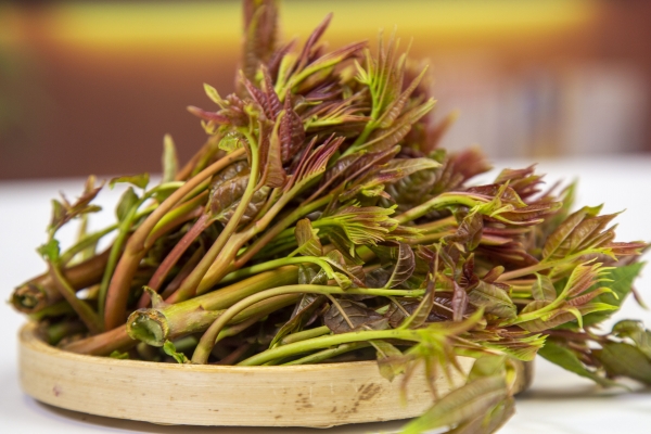 香椿不可以和什么一起吃 谷雨季節吃什么菜