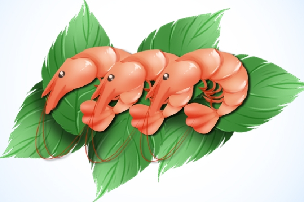 牛奶和蝦可以一起吃嗎 挑選新鮮海鮮的小技巧-易網健康<a href=http://www.jsjjzhkt.cn/jkys/ target=_blank class=infotextkey>養生</a>網 牛奶和蝦可以一起吃嗎 挑選新鮮海鮮的小技巧