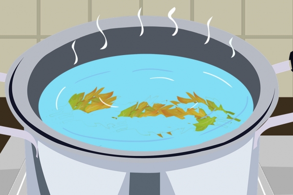 香椿芽不焯水可以直接炒嗎 香椿采摘的注意事項-易網<a href=http://www.jsjjzhkt.cn/ target=_blank class=infotextkey>健康養生</a>網 香椿芽不焯水可以直接炒嗎 香椿采摘的注意事項