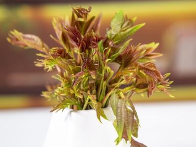 懷孕可以吃香椿炒雞蛋嗎 懷孕吃什么堅果好