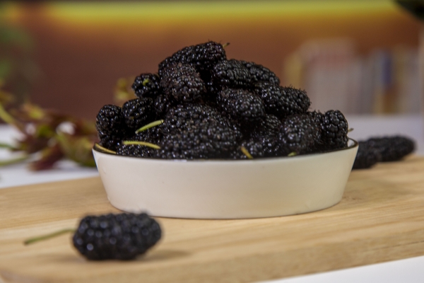 桑葚酒泡兩三年還可以喝嗎 桑葚的常見吃法