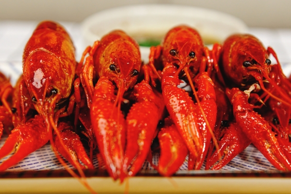小龍蝦吃多了對身體有什么影響 小龍蝦的日常做法