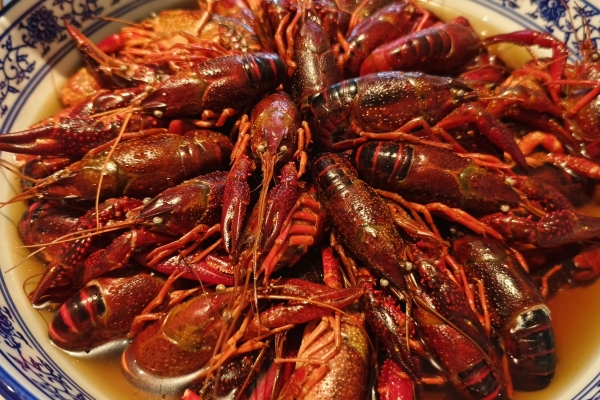 吃小龍蝦不能和什么一起吃 小龍蝦的功效作用-易網健康<a href=http://www.jsjjzhkt.cn/jkys/ target=_blank class=infotextkey>養生</a>網 吃小龍蝦不能和什么一起吃 小龍蝦的功效作用