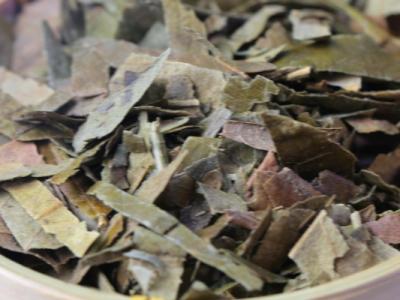 枇杷葉怎么煮水止咳 枇杷葉不適合什么人群