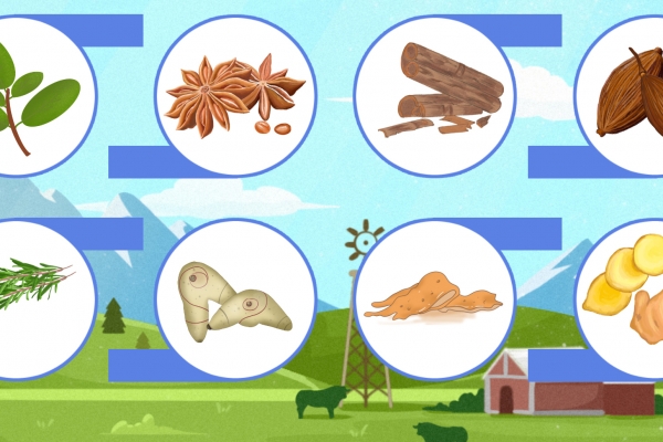 枇杷不能和什么一起吃 枇杷可以怎么吃