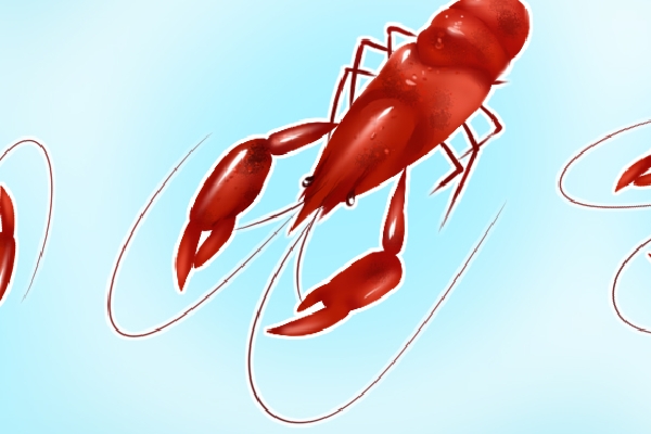 熟的小龍蝦隔夜能吃嗎 新鮮龍蝦怎么冷凍保存-易網健康<a href=http://www.jsjjzhkt.cn/jkys/ target=_blank class=infotextkey>養生</a>網 熟的小龍蝦隔夜能吃嗎 新鮮龍蝦怎么冷凍保存