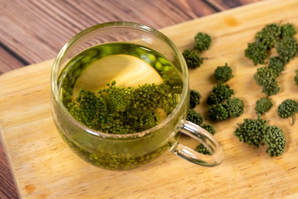 三伏天能不能喝三七粉 三七粉的吃法-易網健康養生網 三伏天能不能喝三七粉 三七粉的吃法