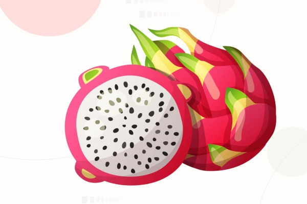 三伏天吃哪些水果最好 三伏天水果挑選技巧-易網健康養生網 三伏天吃哪些水果最好 三伏天水果挑選技巧