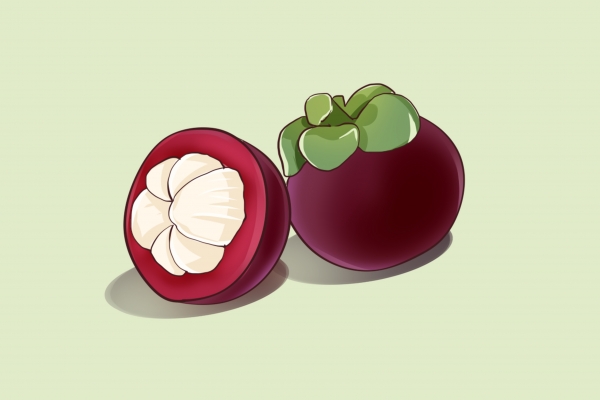 三伏天吃哪些水果最好 三伏天水果挑選技巧-易網健康養生網 三伏天吃哪些水果最好 三伏天水果挑選技巧