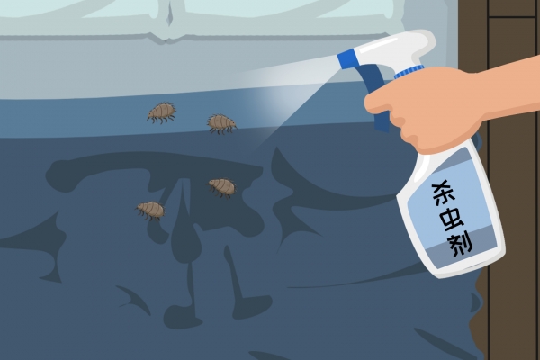 夏天床上如何除蟲效果好 夏天床上除蟲效果好的方法