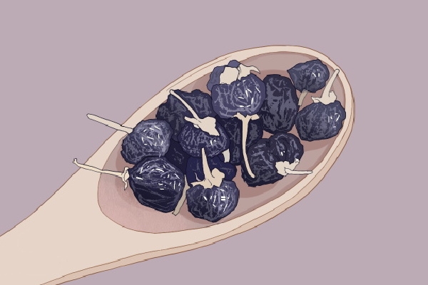 黑枸杞與紅枸杞的區(qū)別 黑枸杞和紅枸杞哪個(gè)補(bǔ)腎壯陽效果好 -易網(wǎng)<a href=http://www.jsjjzhkt.cn/ target=_blank class=infotextkey>健康養(yǎng)生</a>網(wǎng) 黑枸杞與紅枸杞的區(qū)別 黑枸杞和紅枸杞哪個(gè)補(bǔ)腎壯陽效果好