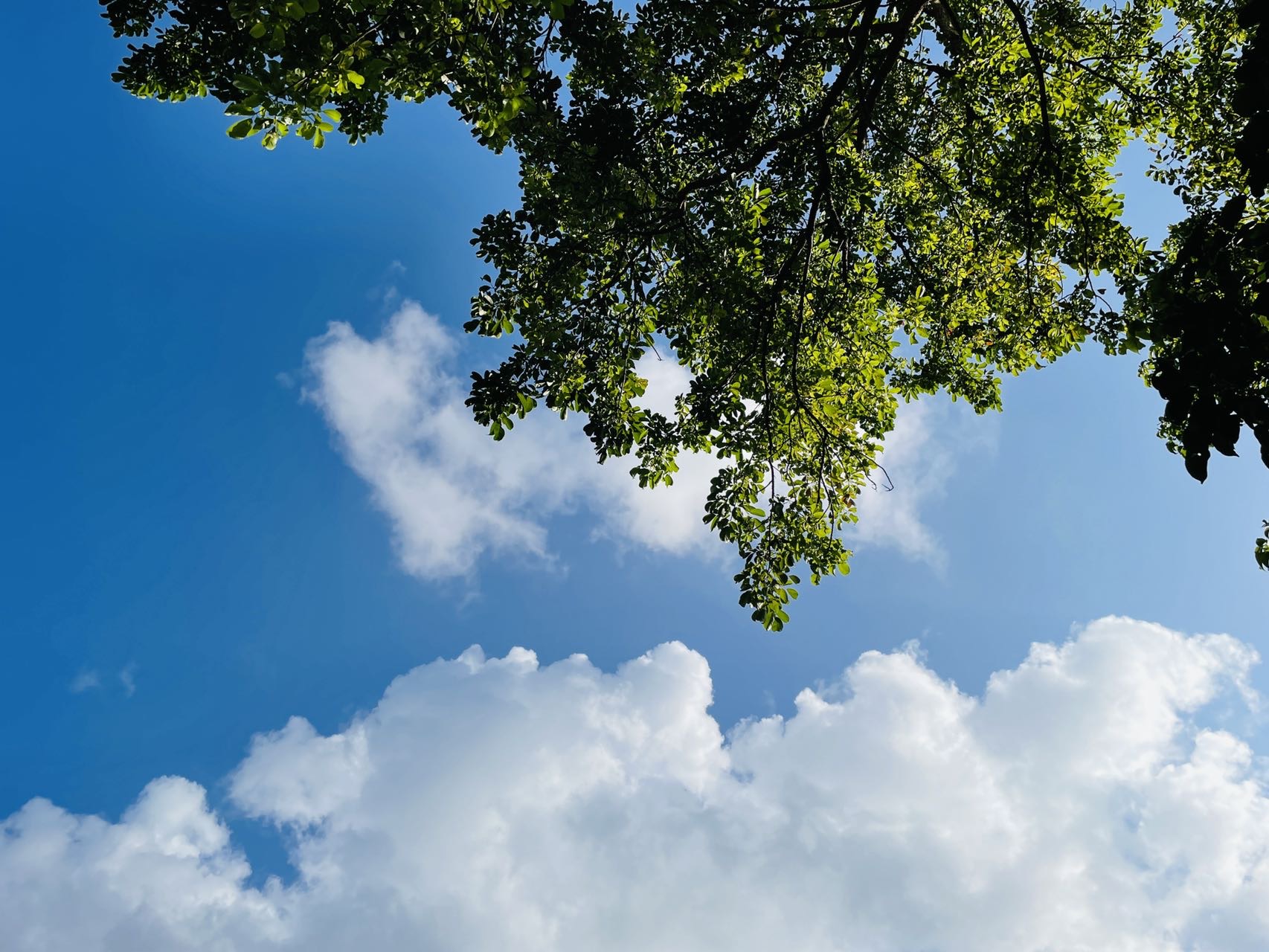 中暑的癥狀及緩解方法 中暑了怎么辦-易網健康<a href=http://www.jsjjzhkt.cn/jkys/ target=_blank class=infotextkey>養生</a>網 中暑的癥狀及緩解方法 中暑了怎么辦