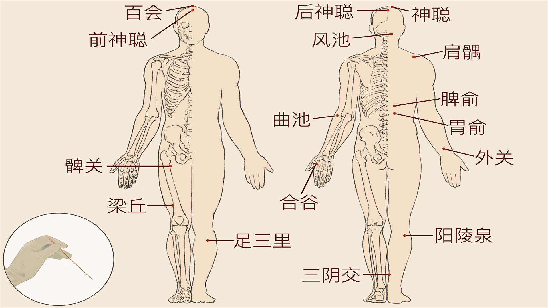 男性三伏天艾灸血海穴的好處 男性艾灸具體穴位-易網(wǎng)健康養(yǎng)生網(wǎng) 男性三伏天艾灸血海穴的好處 男性艾灸具體穴位