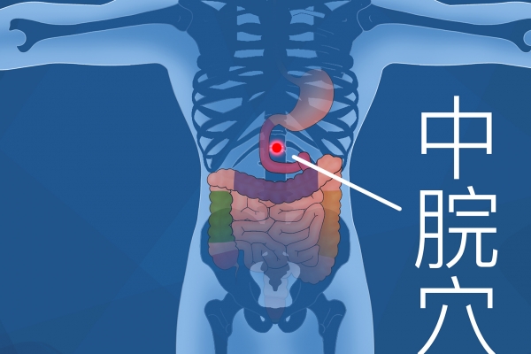 調脾胃三伏天貼什么穴位 三伏天貼敷注意事項