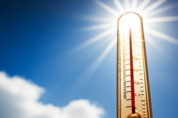 三伏天怎樣保養吃哪些食物 三伏天吃哪些食物比較好-易網健康<a href=http://www.jsjjzhkt.cn/jkys/ target=_blank class=infotextkey>養生</a>網 三伏天怎樣保養吃哪些食物 三伏天吃哪些食物比較好