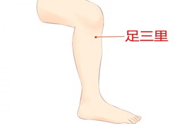 三伏天艾灸哪些部位好點 三伏天適合艾灸的穴位-易網健康養生網 三伏天艾灸哪些部位好點 三伏天適合艾灸的穴位