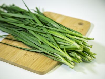 補陽氣的食物有哪些 補陽氣的食譜推薦