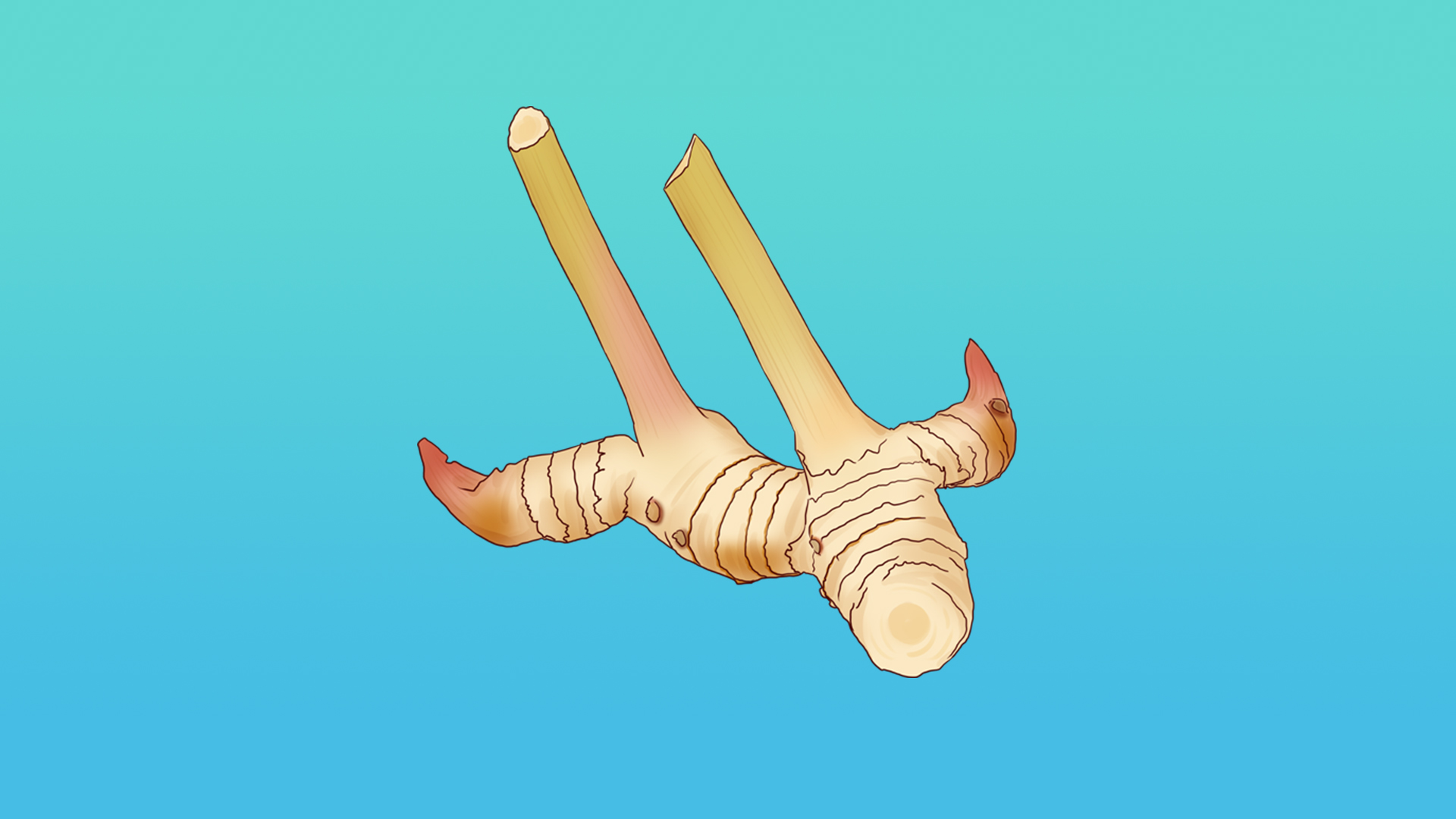 艾葉加什么泡水可排毒祛濕 艾葉煮水喝的功效