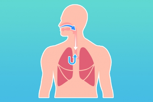 補肺潤肺的食物有哪些 5個養肺小妙招-易網健康<a href=http://www.jsjjzhkt.cn/jkys/ target=_blank class=infotextkey>養生</a>網 補肺潤肺的食物有哪些 5個養肺小妙招
