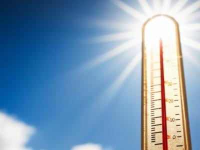 三伏天可以喝紅棗粥嗎 三伏天養生食譜