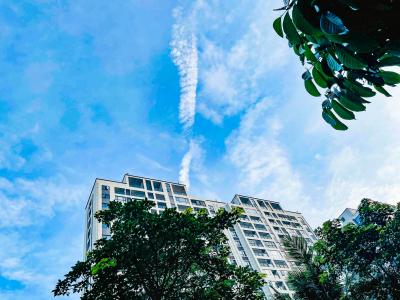 三伏天如何調理脾胃虛寒 三伏實用養生指南