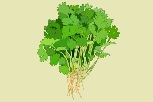 損傷陽氣的日常行為 補陽氣的食物有哪些 -易網(wǎng)健康養(yǎng)生網(wǎng) 損傷陽氣的日常行為 補陽氣的食物有哪些