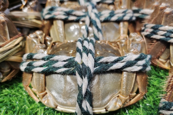 大閘蟹為什么不能放水里養 大閘蟹怎么清洗干凈-易網<a href=http://www.jsjjzhkt.cn/ target=_blank class=infotextkey>健康養生</a>網 大閘蟹為什么不能放水里養 大閘蟹怎么清洗干凈