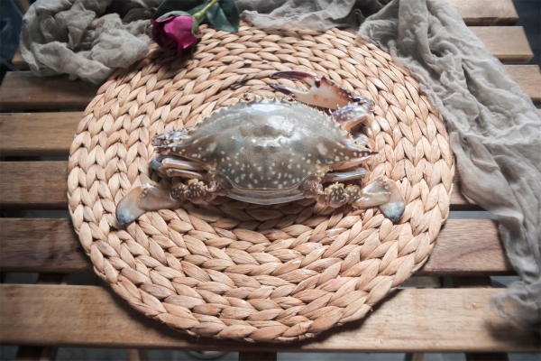 梭子蟹為什么不能清蒸 凍梭子蟹能清蒸嗎