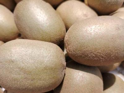 獼猴桃保鮮及儲存方法 獼猴桃的營養價值