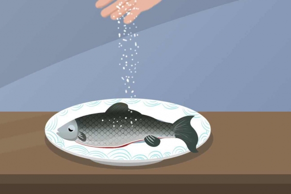 高尿酸可以吃鱸魚嗎-易網<a href=http://www.jsjjzhkt.cn/ target=_blank class=infotextkey>健康養生</a>網 高尿酸可以吃鱸魚嗎