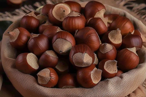 痛風(fēng)能不能吃榛子